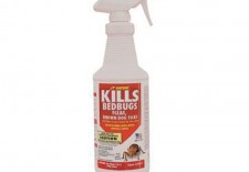 Bed Bug Killer