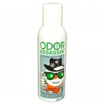 Odor Eliminator Mountain Snow Scent