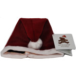 Santa Hat for Embroidery Buddy Easy as 123 Christmas Hat