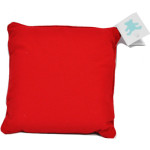 Embroidery Buddy Red Linen Pillow Cover and Foam Insert EB12222R